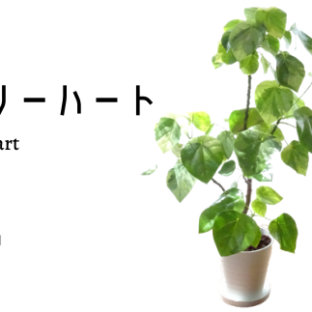 【観葉植物】ラブリーハート8号(トロピカルフルーツ&プランツ)