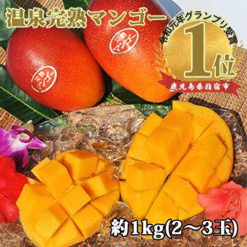 鹿児島県いぶすき産 温泉完熟マンゴー約1kg(プランツ)