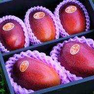 【先行受付】南国いぶすきの温泉熱で育てた甘くて上品な温泉完熟マンゴー約2kg4~6個(プランツ)