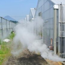 ホームページを公開しました。